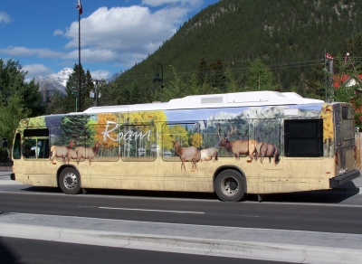 Bus in Banff
