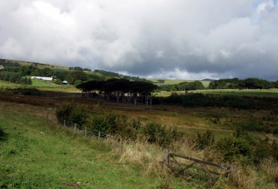 Dartmoor-Nationalpark, Südengland