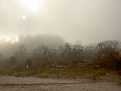 Küste im Nebel