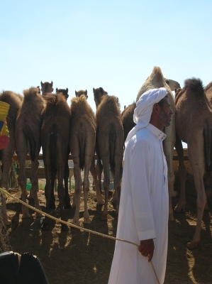 Kamel und Kamelhändler