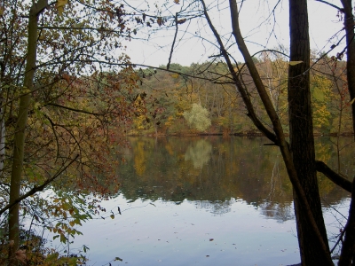 Schlachtensee im Herbst