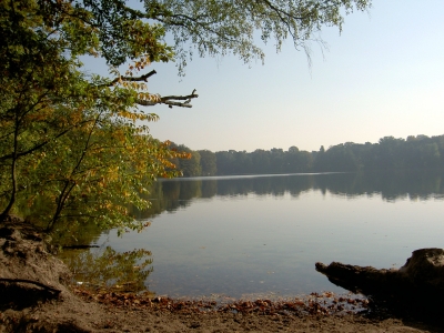 Herbstanfang am Schlachtensee 5