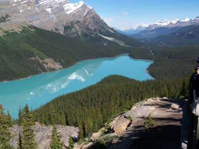 Peyto See