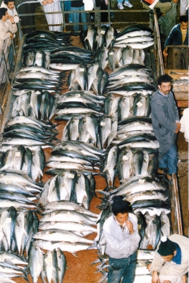 Fischmarkt in Agadir