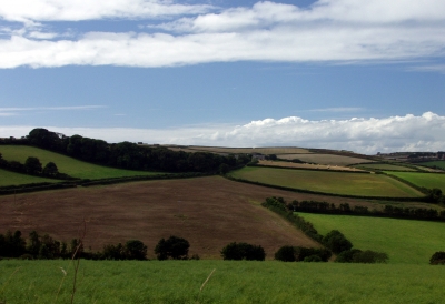 Gruß aus Cornwall : Countryside #4