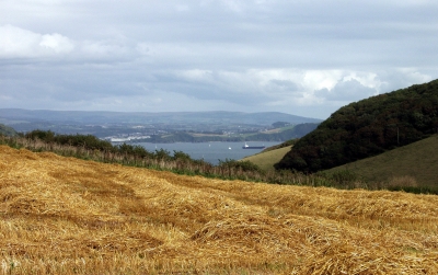 Gruß aus Cornwall : Countryside, Blick auf Looe