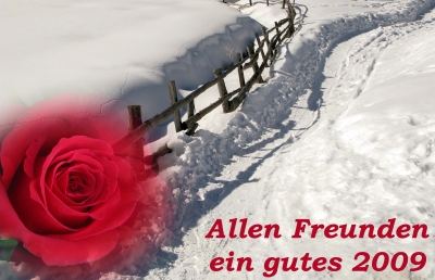 Allen Freunden ein gutes 2009