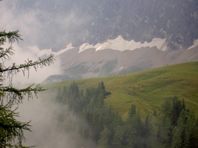 In der Ramsau bei tiefhängenden Wolken 4