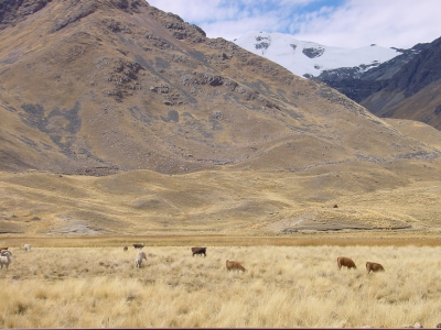 Andenlandschaft in Peru