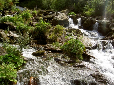 Am Riesachsee