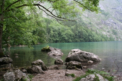 Obersee