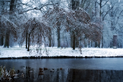 stockenten auf eiswasser