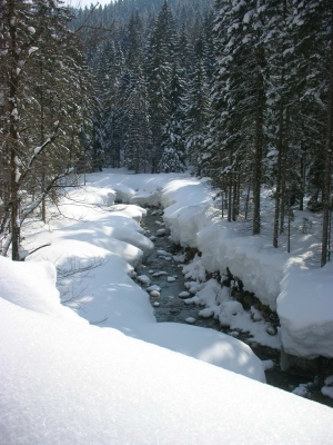 Fluss im Schnee