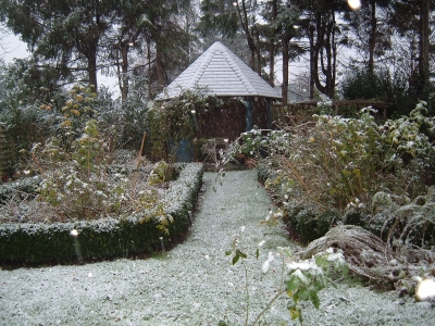 Unser Garten im Winter