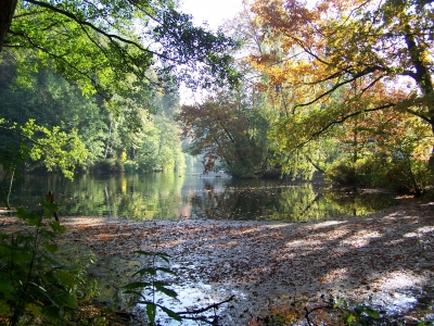 Herbst   am  Teich   Park   Manhagen