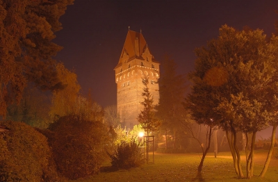 Nachts im Schlosspark