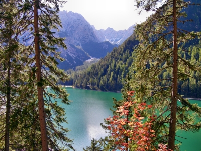 Italien - Südtirol - Val Pusteria - Pragser Wildsee - 10