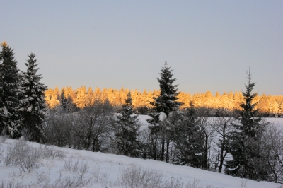 Sonnenaufgang im schneebedecktem Wald_1