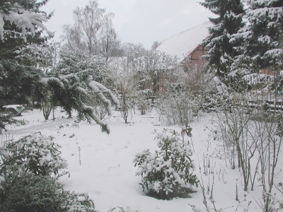 Winter im Garten