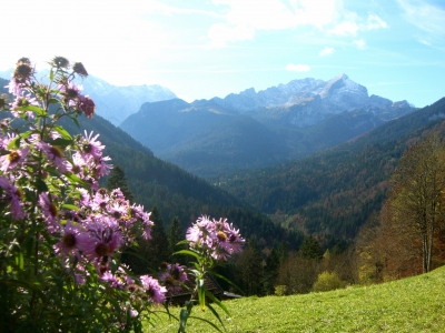 Alpen bei Garmisch-Partenkirchen