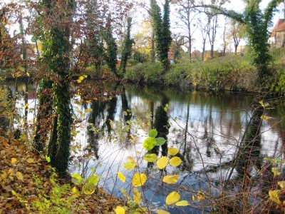 Kleiner Teich im Park