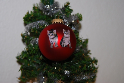 Weihnachtskugel für Katzenfreunde