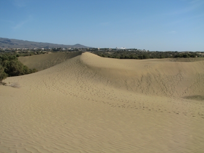 Dünen-MasPalomas1