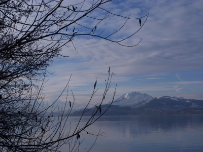 Spaziergang am Ägerisee