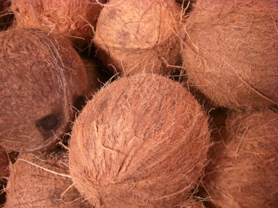 Kokos-Nüsse
