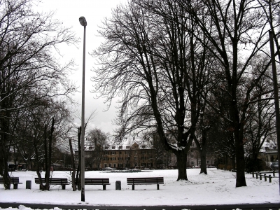 Winter in der Strümpellstrasse in Erlangen