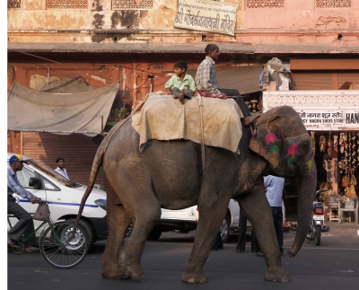 Straßenverkehr in Jaipur