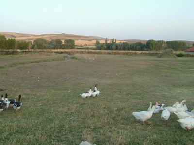Anatolien Dorf
