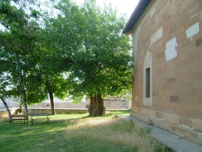 Moschee Vorgarten