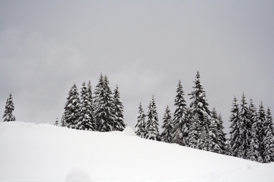 Winter auf der Alm