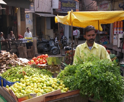 grüner Markt in Udaipur, Indien