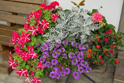 Blumenarrangement