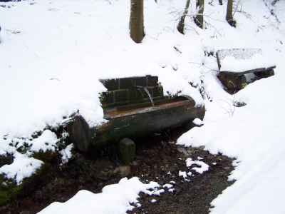 Brunnen im Schnee