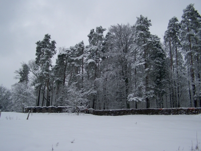 Vorrat am Waldrand