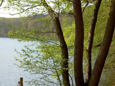 Frühling am Schlachtensee