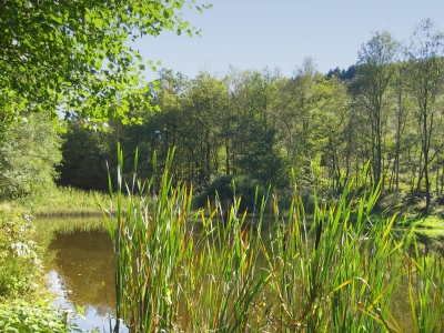 Idyllisches Plätzchen