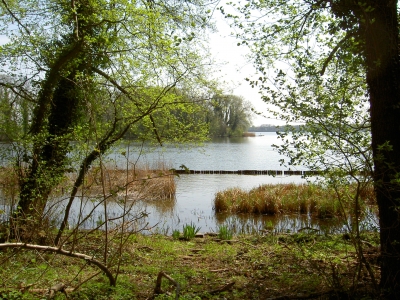 Am Tegeler See 1