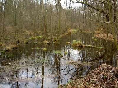 Am Müggelsee 1