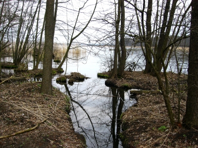 Am Müggelsee 2