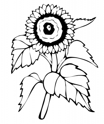 Werkzeugspitze - Sonnenblume