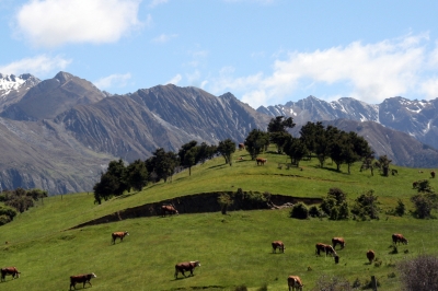 Wunderbares Neuseeland