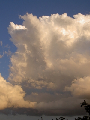 Cumulus Congestus