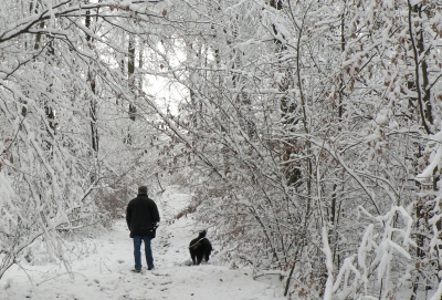 snow wanderers