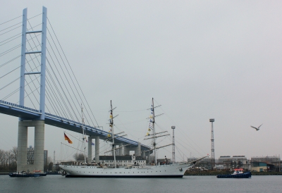 "Gorch Fock" und Rügenbrücke mit Pylon