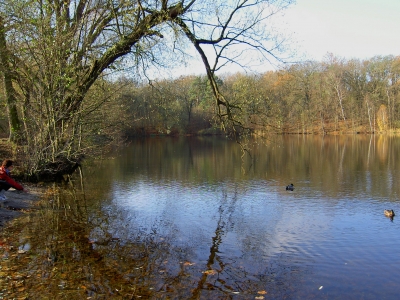 Teufelssee im Berliner Grunewald 2