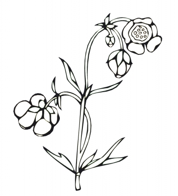 Werkzeugspitze - Blume